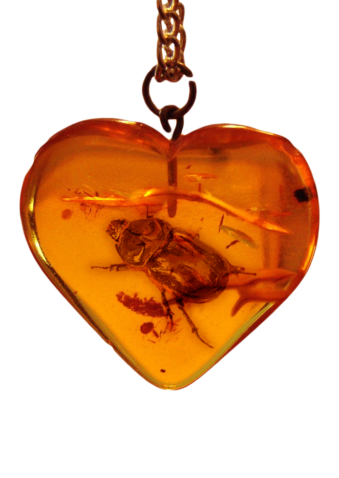 A heart-shaped amber pendant with a scarab beetle trapped inside